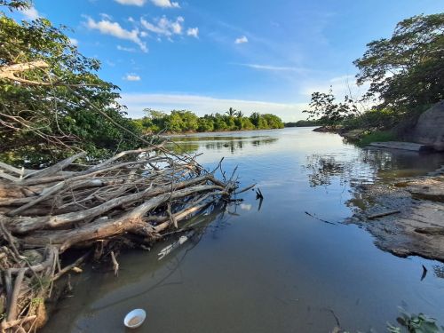 Imagem de um rio poluído com lixo nas margens